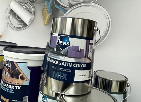 peinture Delzongle brive