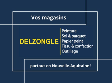 Les magasins Delzongle à proximité Pays basque