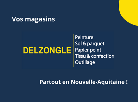Magasins Delzongle en Nouvelle-Aquitaine 