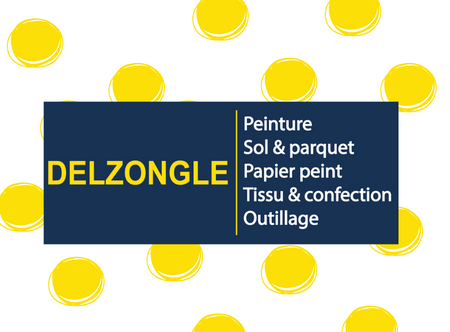 Magasins Delzongle à proximités