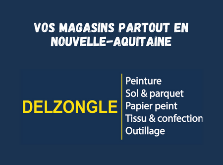 Magasins Delzongle à proximité